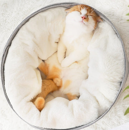 Cute Pet Bed
