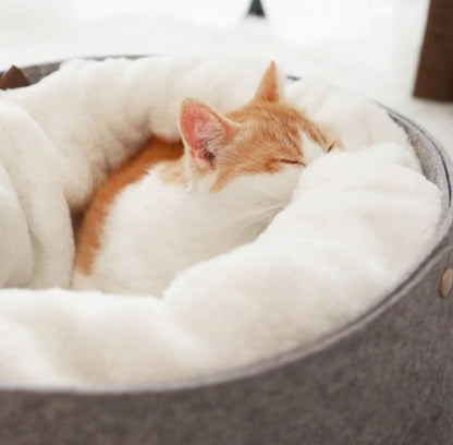 Cute Pet Bed